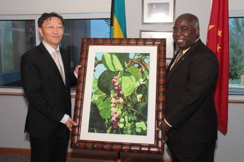 Photo: Deputy Prime Minister and Minister of Works and Urban Development Philip Davis (right) presents a painting by Bahamian artist the late Chan Pratt to the People's Republic of China's Ambassador to The Bahamas, Hu Shan, during a farewell courtesy call at the Ministry of Foreign Affairs, Nov. 6, 2013. (BIS Photo / Eric Rose)