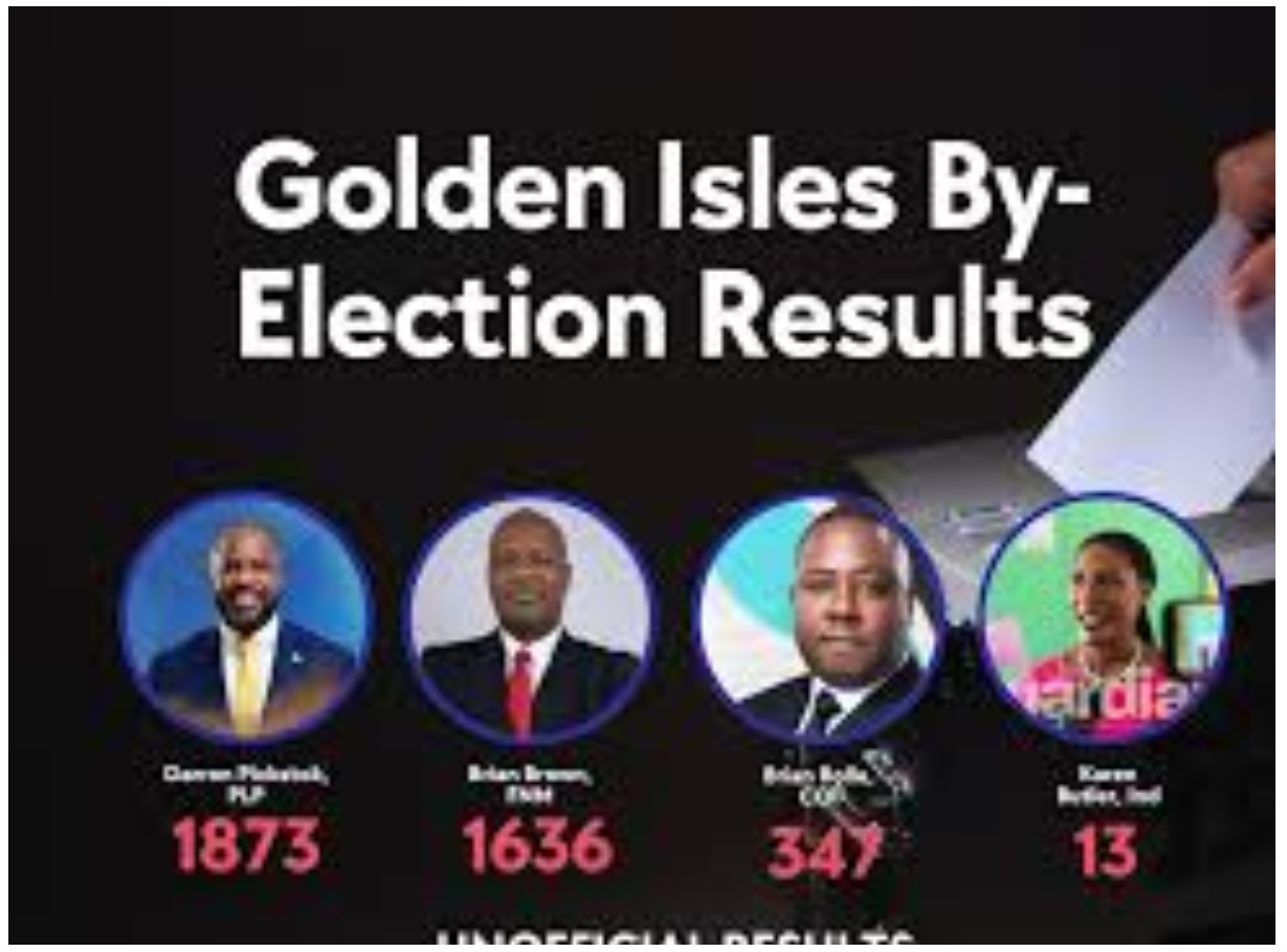 THE GOLDEN ISLES BY ELECTION